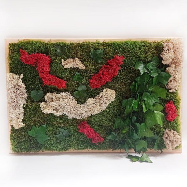 Cuadro de musgo y plantas preservadas. ENVÍO GRATIS.