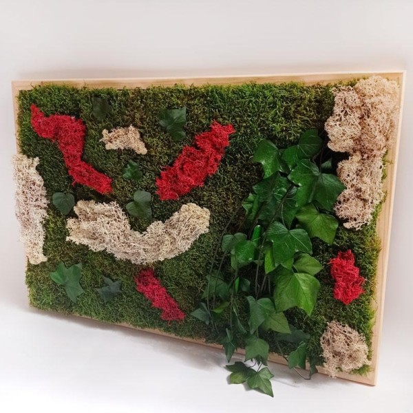 Cuadro de musgo y plantas preservadas. ENVÍO GRATIS.